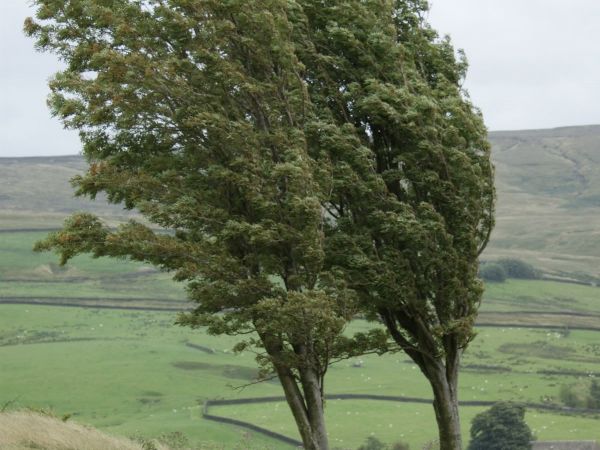 PROGLAŠENJE PRIRODNE NEPOGODE ZBOG OLUJNOG I ORKANSKOG VJETRA
