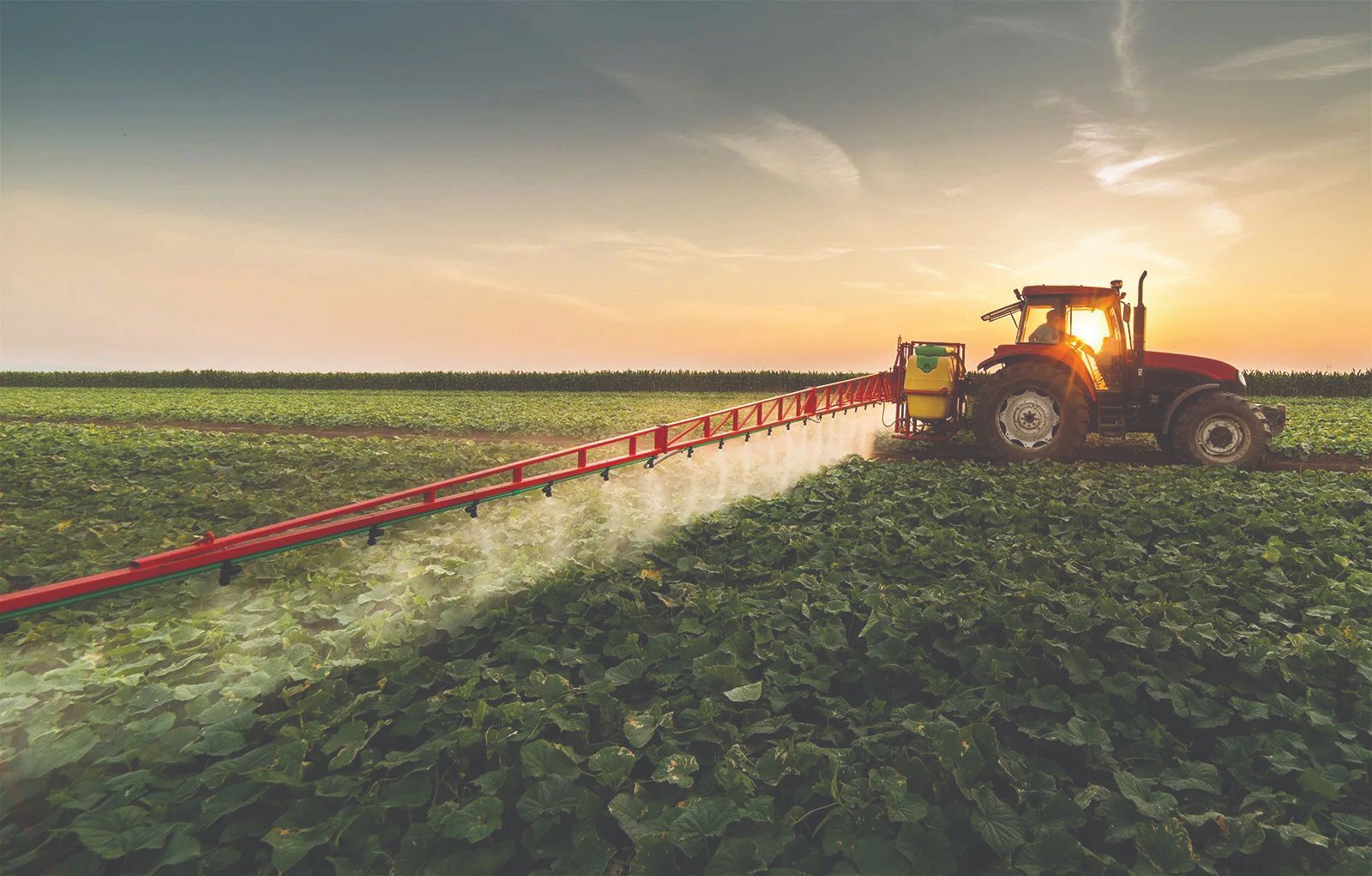 BESPLATNA IZOBRAZBA O ODRŽIVOJ UPORABI PESTICIDA U ROVIŠĆU 21. OŽUJKA 2025. – PRIJAVITE SE - BROJ MJESTA JE OGRANIČEN!